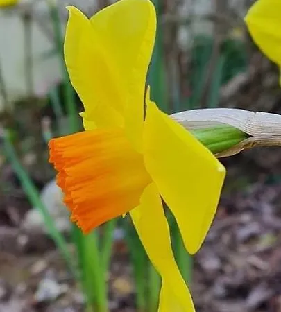 La De キャンプ場 *