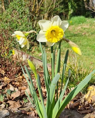 La De * Fierville-les-Parcs