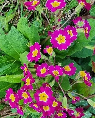 La De Campsite Fierville-les-Parcs